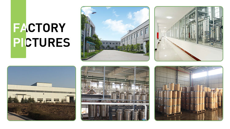 our Factory.jpg our Factory.jpg